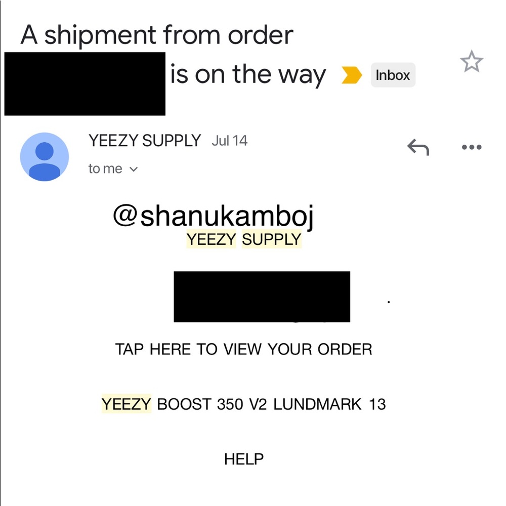 Yeezy Boost 350 V2 Lundmark 13